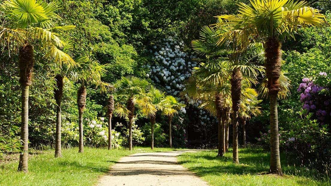 Sheffield Park Gardens